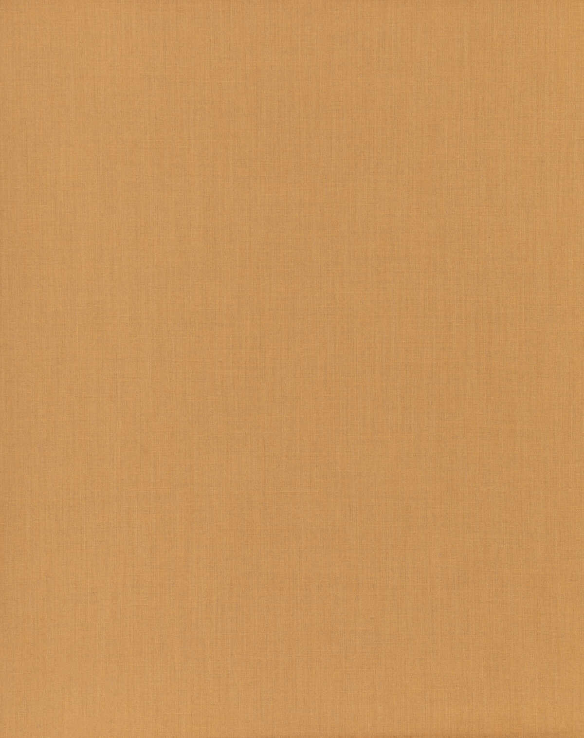 Infinity - Sesame - THREADS Fabric