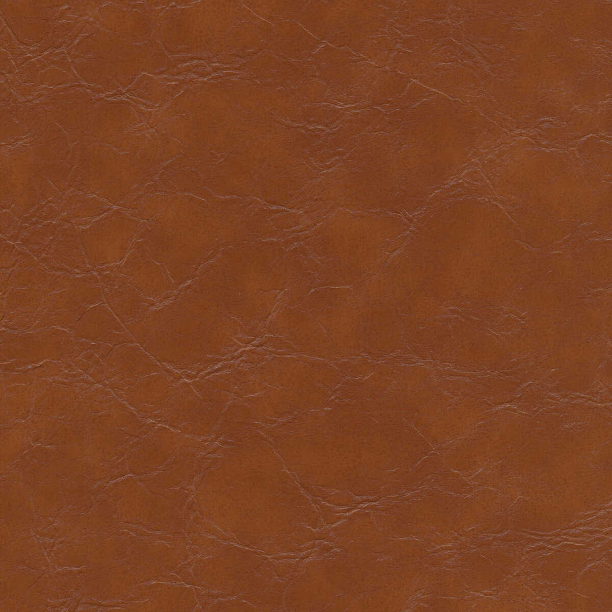 Kravet Design - Equine-606 - KRAVET DESIGN Tela