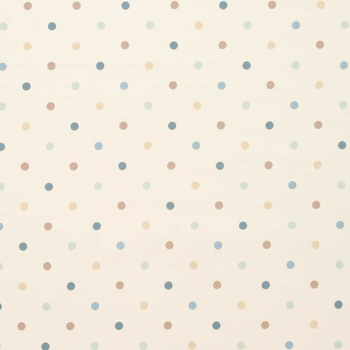 Dotty - Duckegg