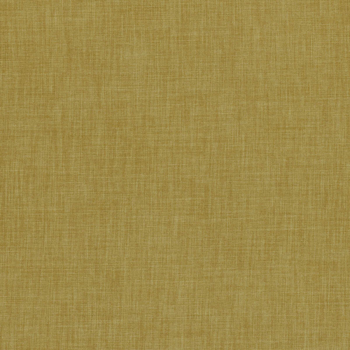 Linoso - Citrus