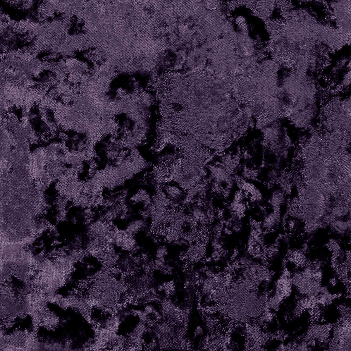 Crush - Orchid