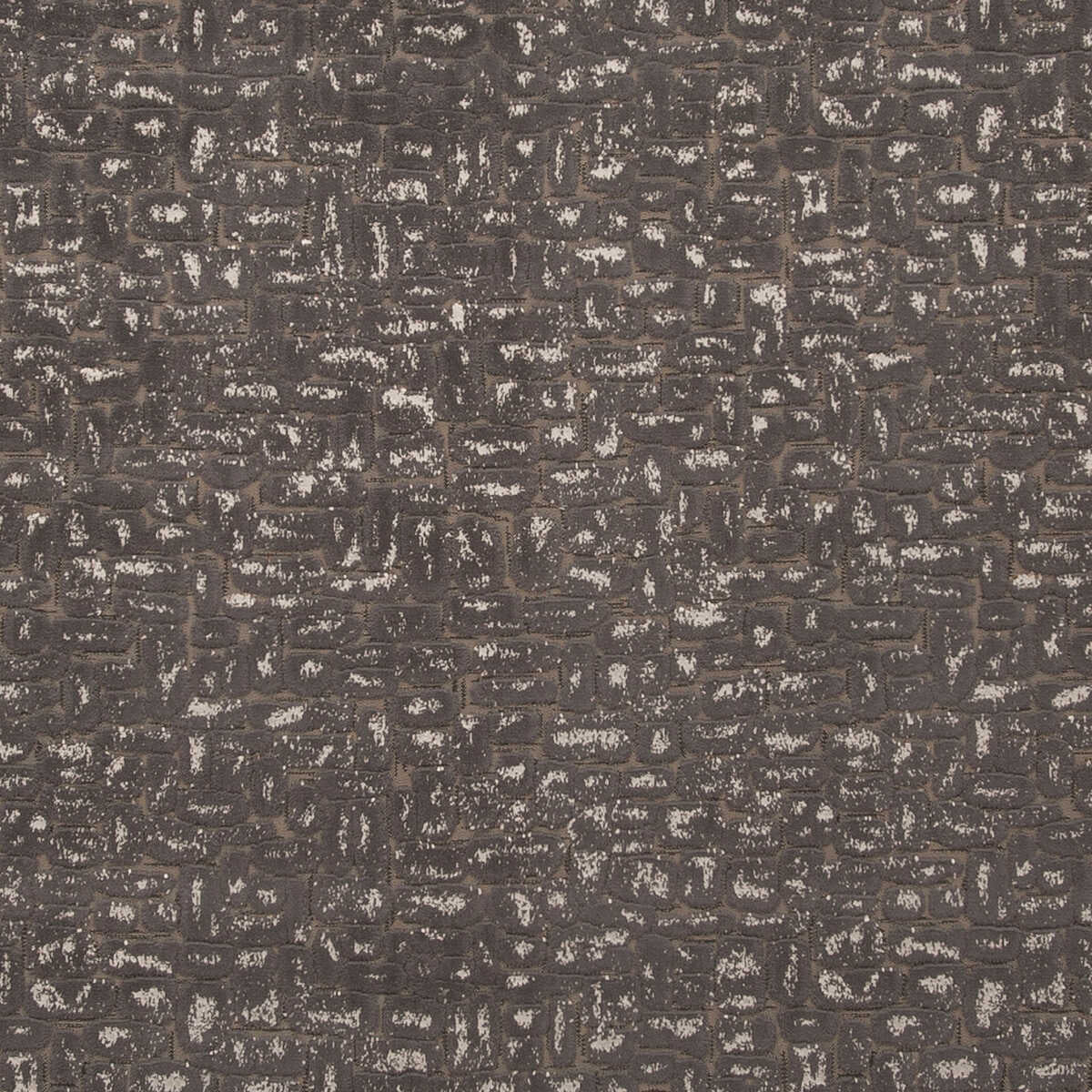 Moda - Charcoal - CLARKE AND CLARKE Fabric