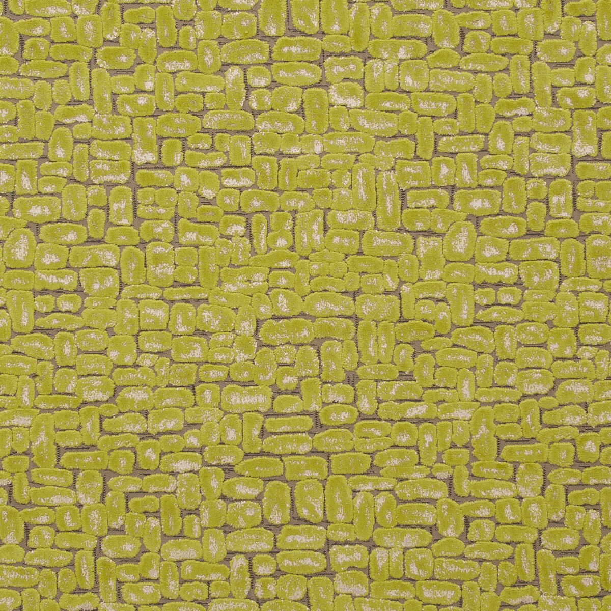 Moda - Citrus - CLARKE AND CLARKE Fabric