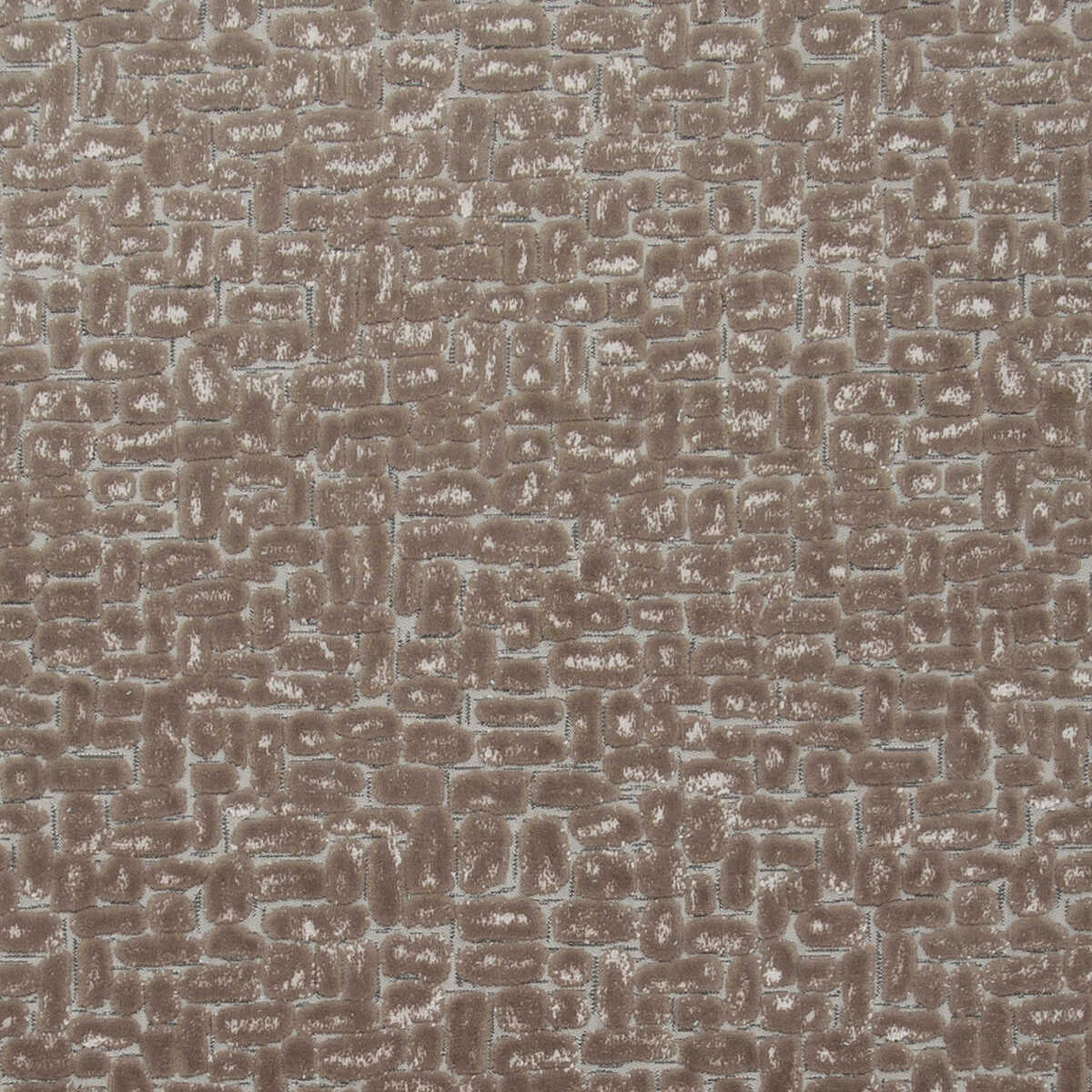 Moda - Taupe - CLARKE AND CLARKE Fabric