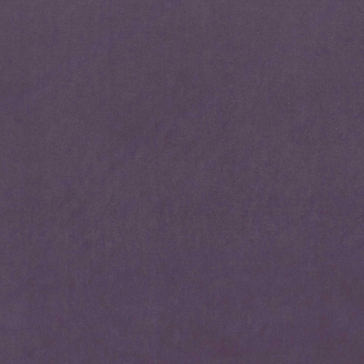 Alvar - Grape
