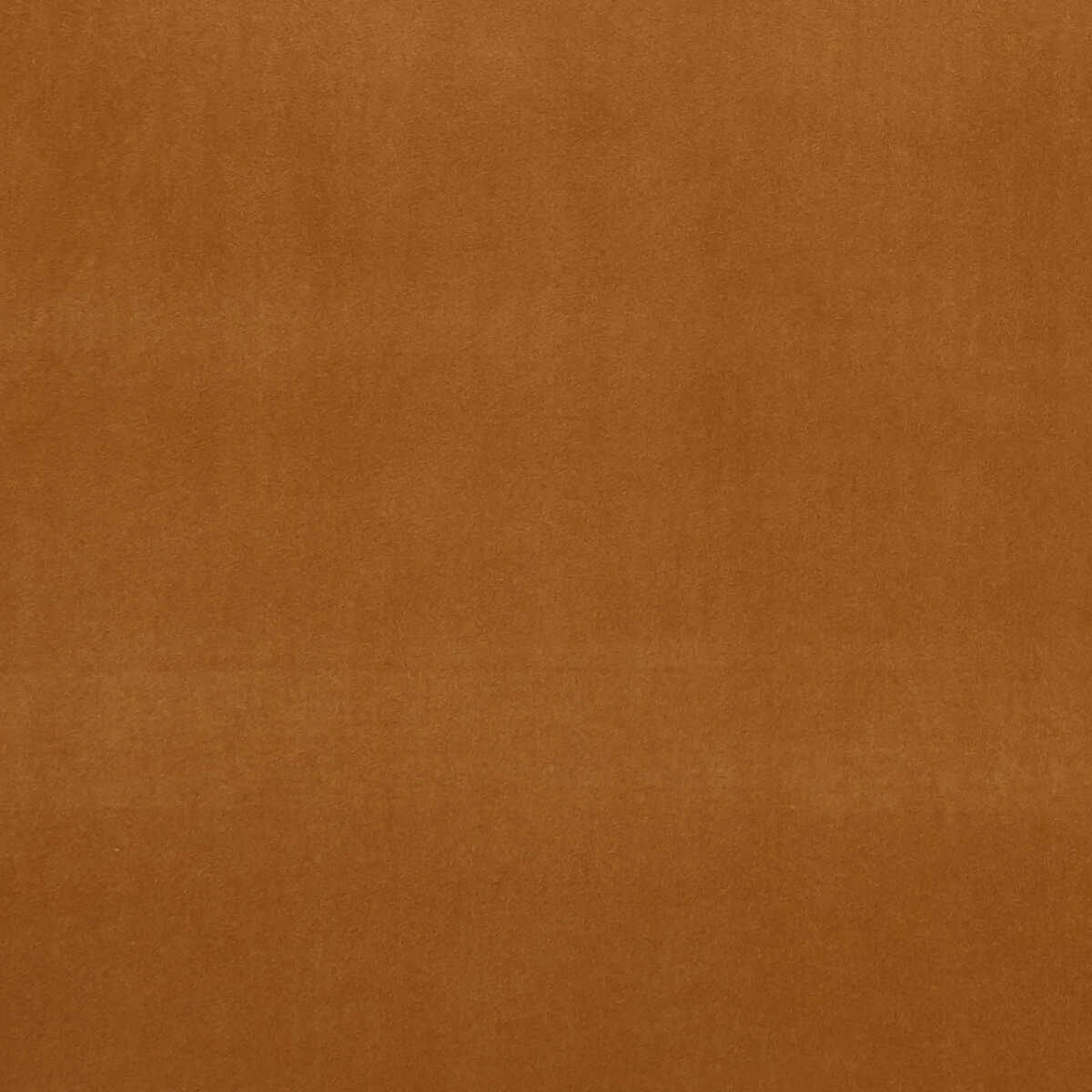 Alvar - Nutmeg