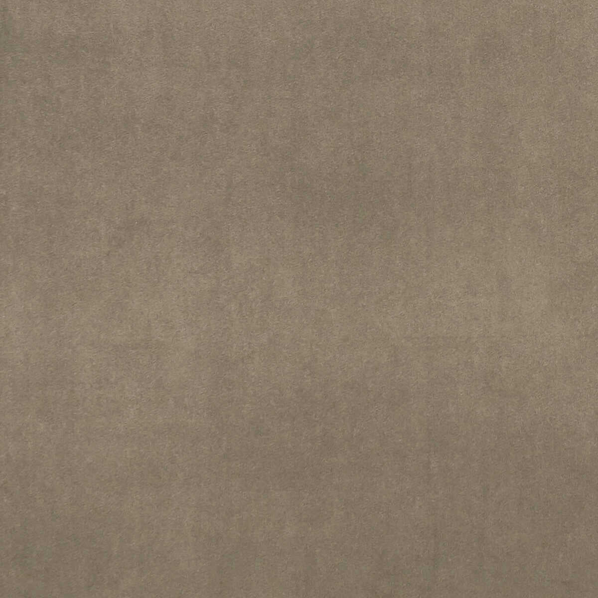 Alvar - Oak