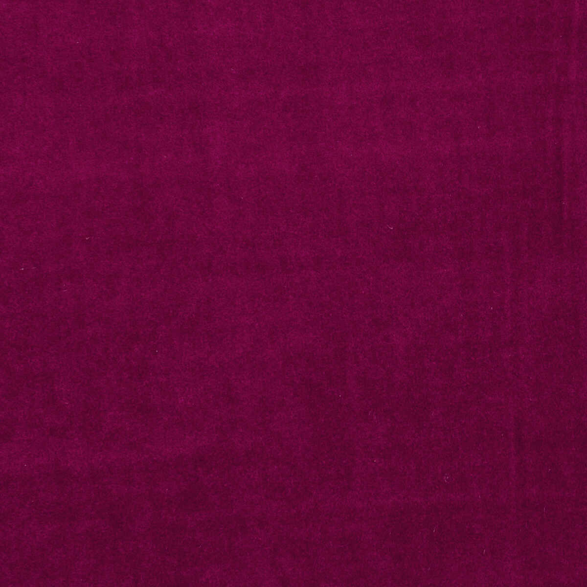 Alvar - Fuchsia