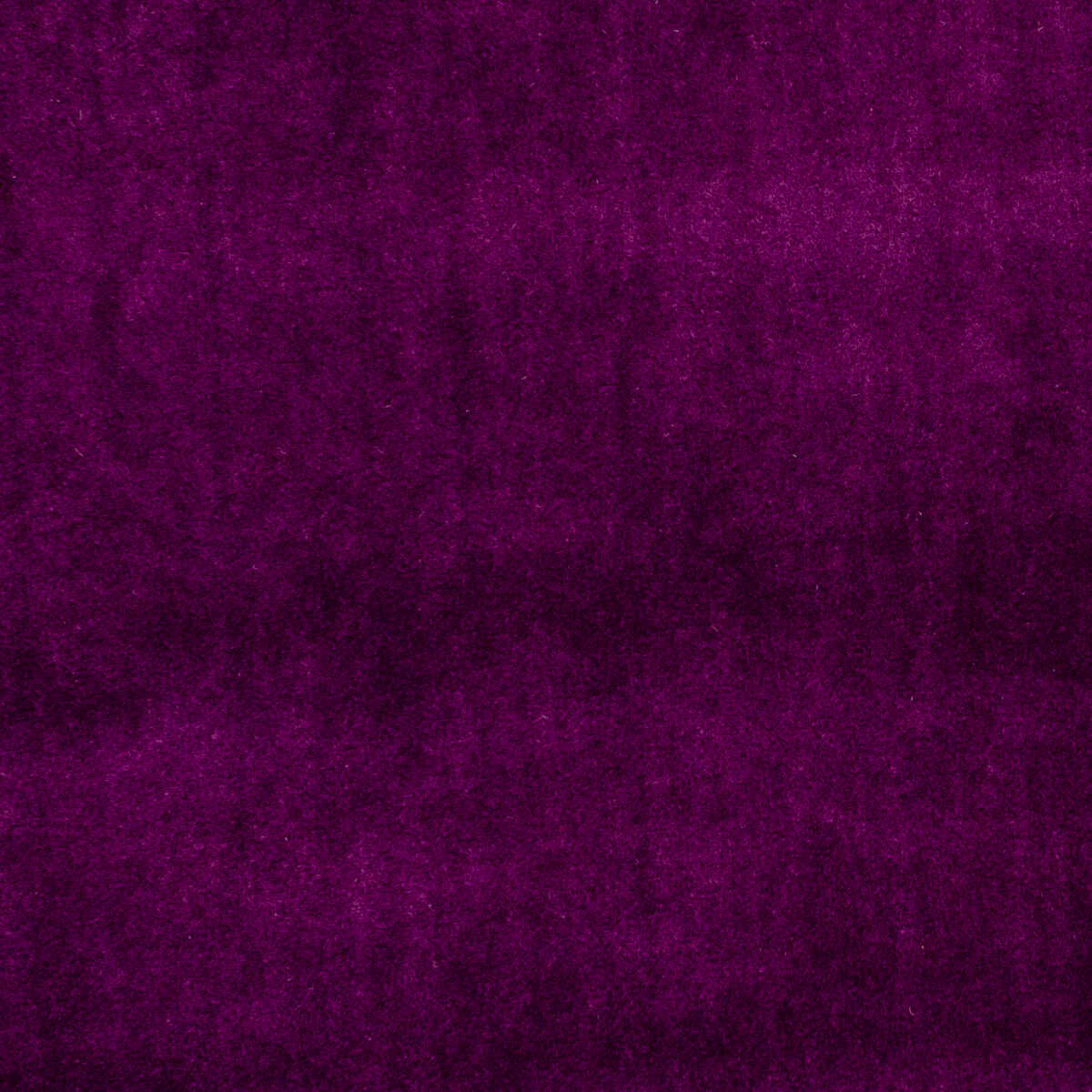 Alvar - Plum - CLARKE AND CLARKE Tela
