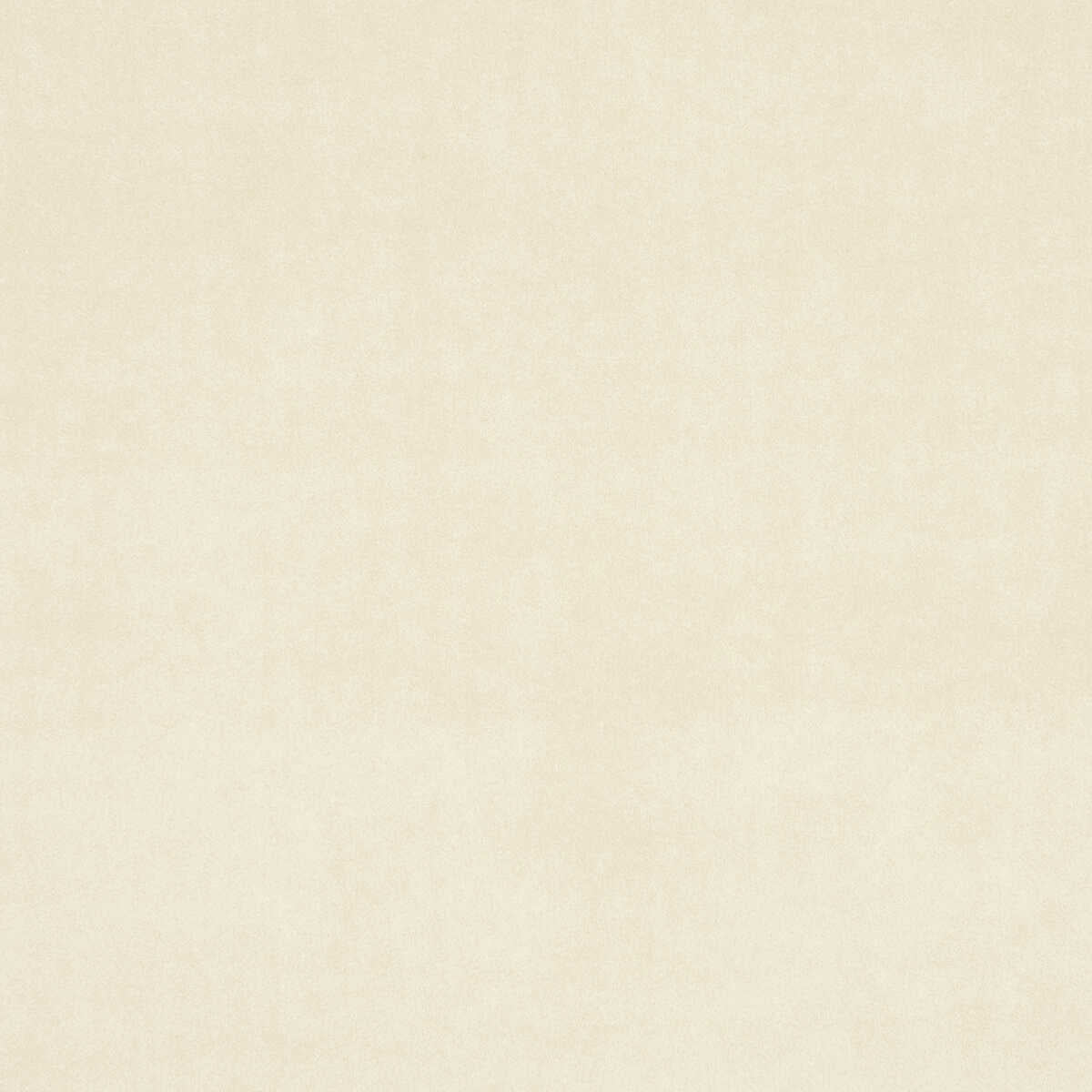 Alvar - Birch