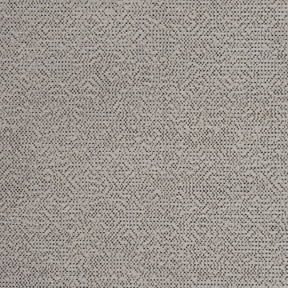 Beauvoir - Charcoal