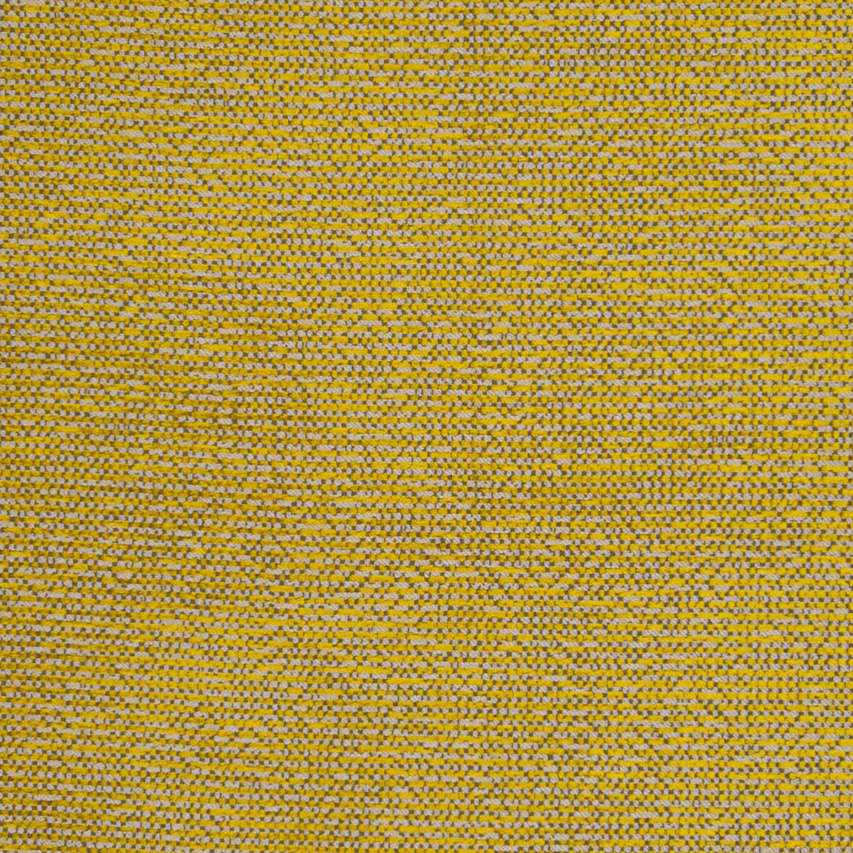 Beauvoir - Citrus