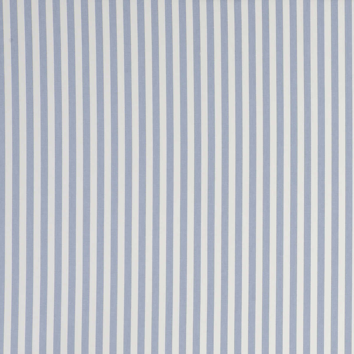 Party Stripe - Stripe Chambray