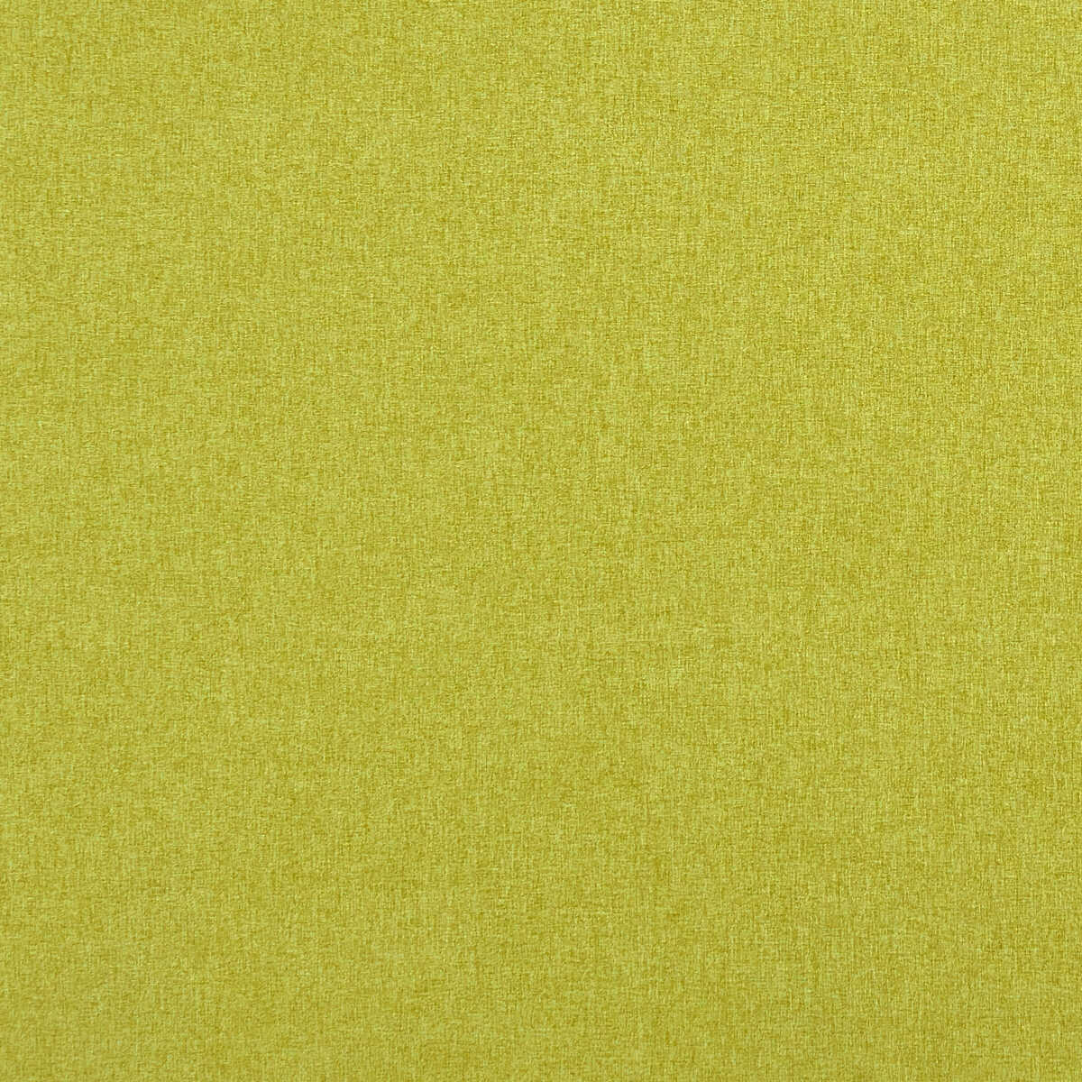 Highlander - Chartreuse