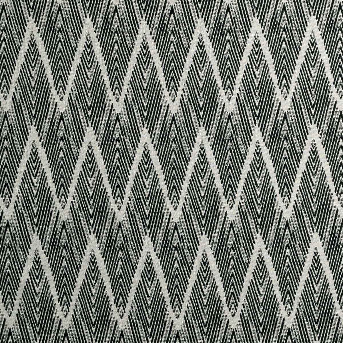 F089501cac0 Bw1022 Black White Clarke And Clarke Fabric