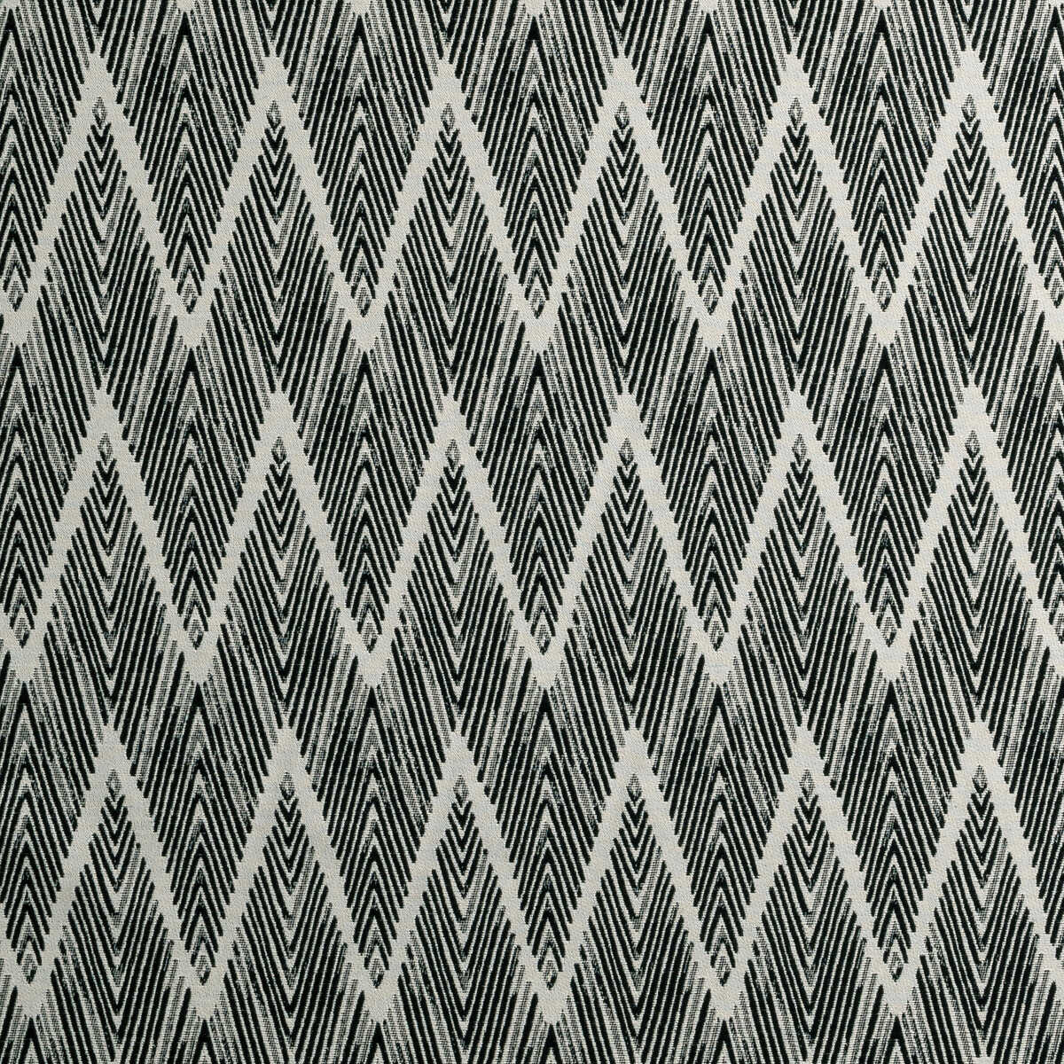 Bw1022 - Black/White - CLARKE AND CLARKE Fabric