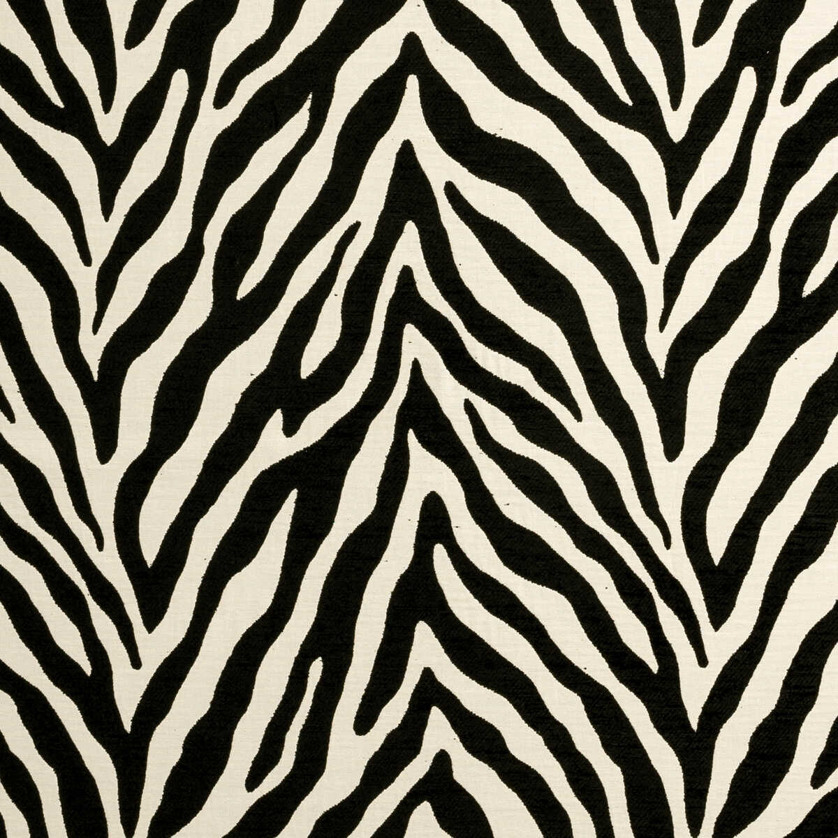 Bw1029 - Black/White - CLARKE AND CLARKE Fabric