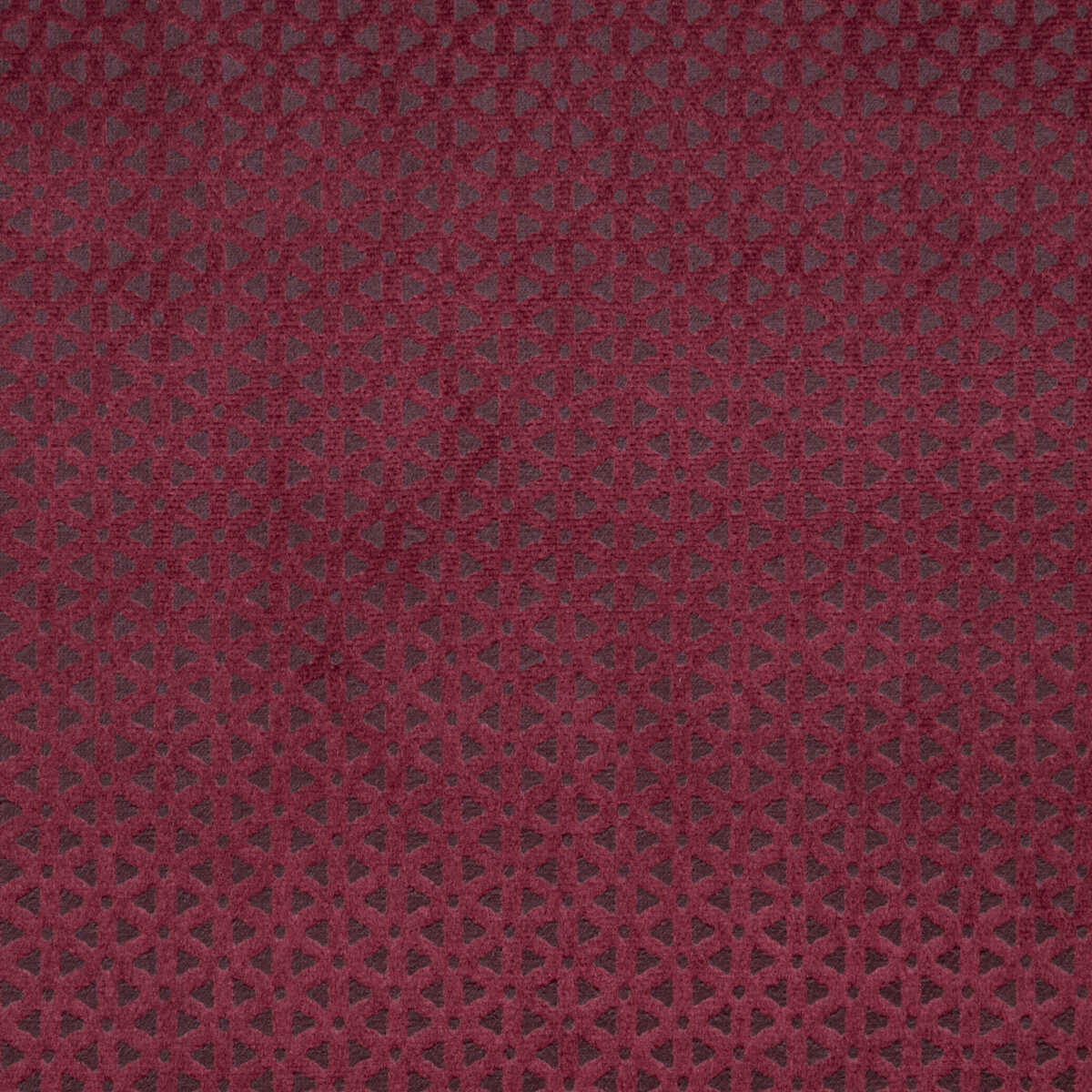 Loreto - Mulberry