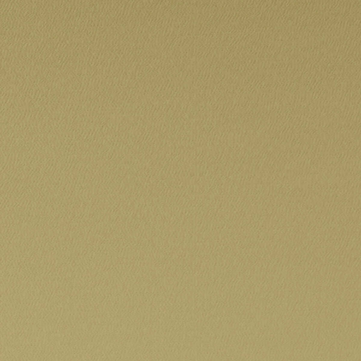 Spectrum - Antique