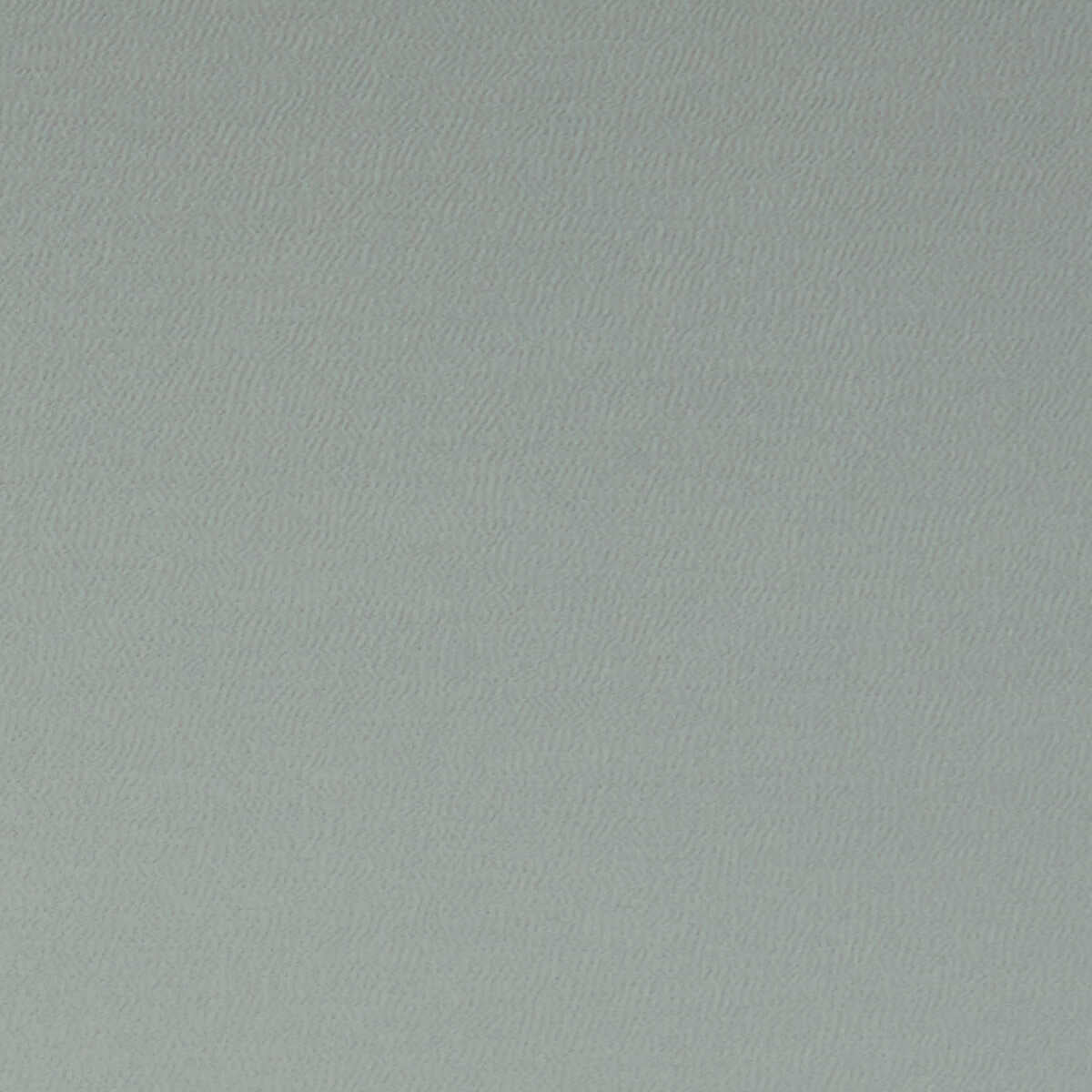 Spectrum - Birch