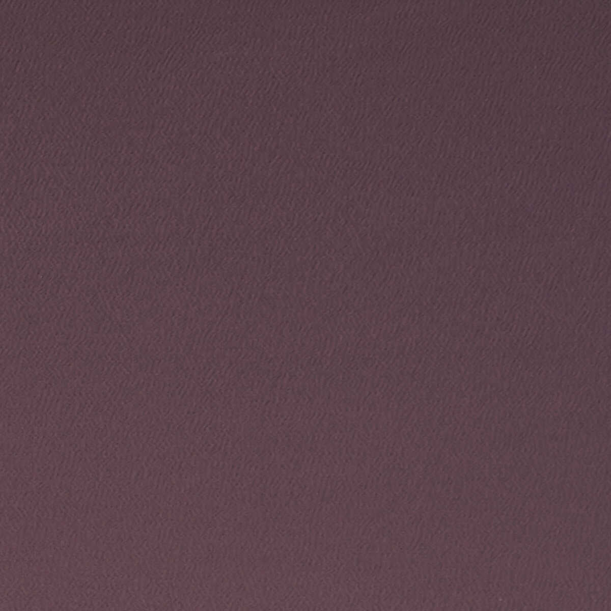 Spectrum - Damson