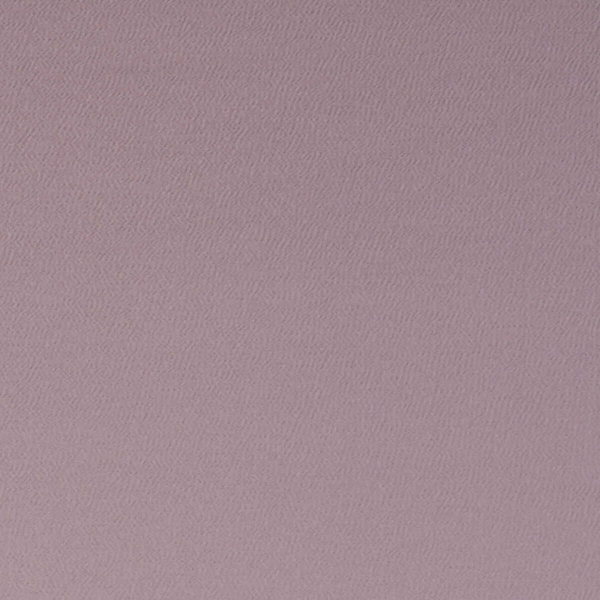 Spectrum - Mauve