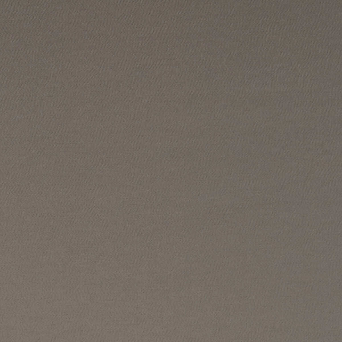 Spectrum - Mocha