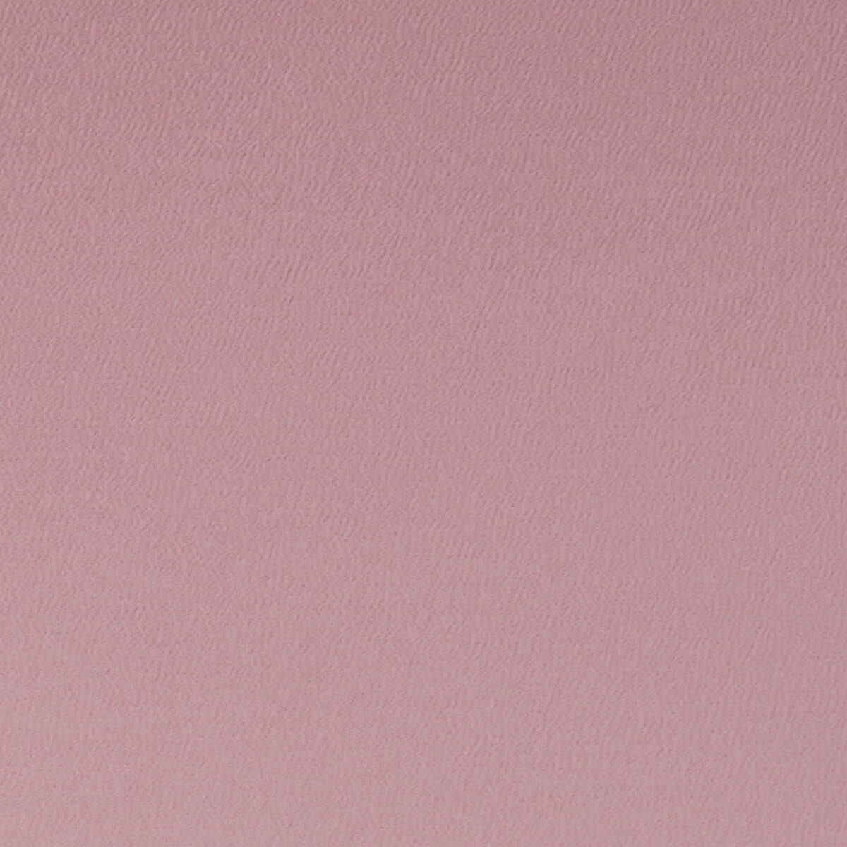 Spectrum - Rose