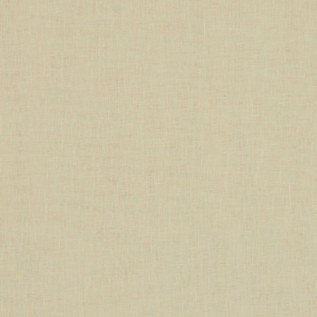 Midori - Bamboo