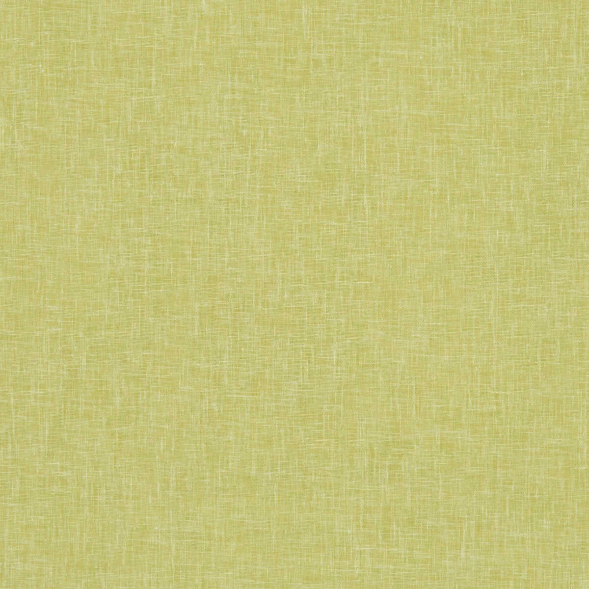 Midori - Citron