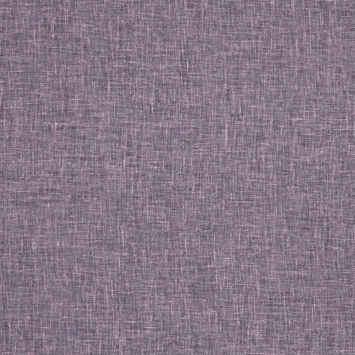 Midori - Damson