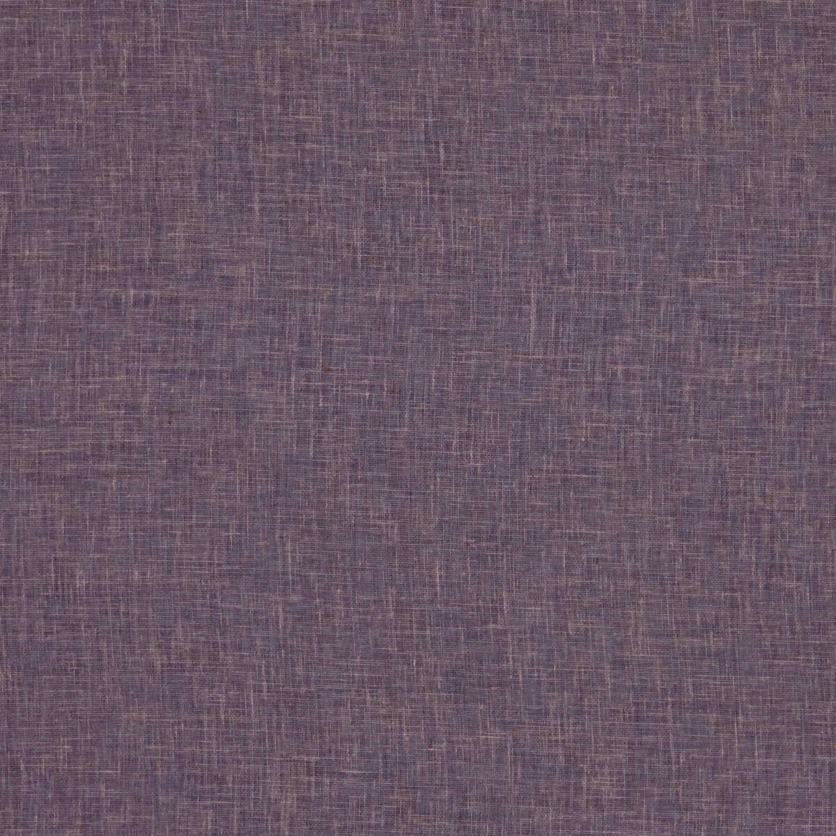 Midori - Heather