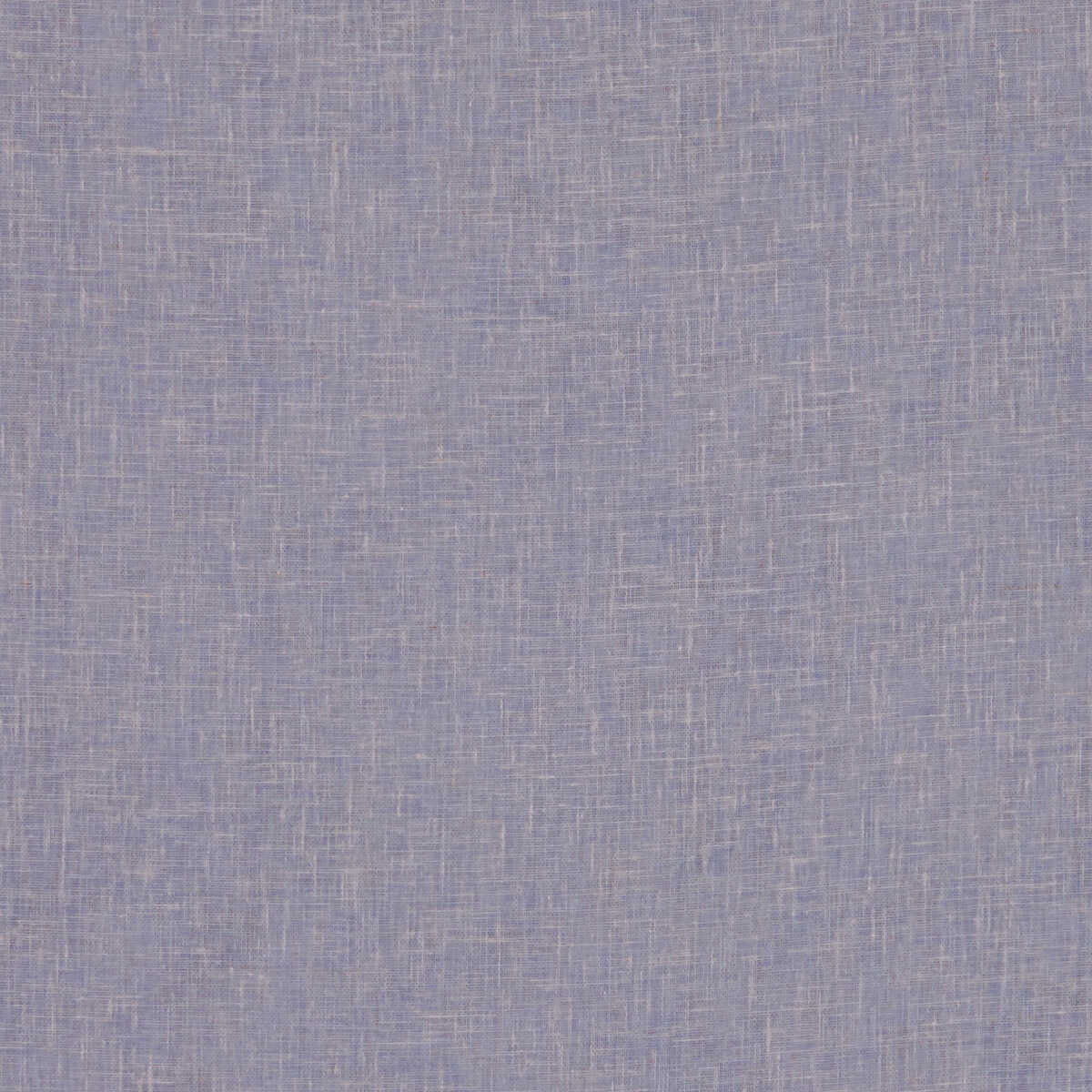 Midori - Lavender