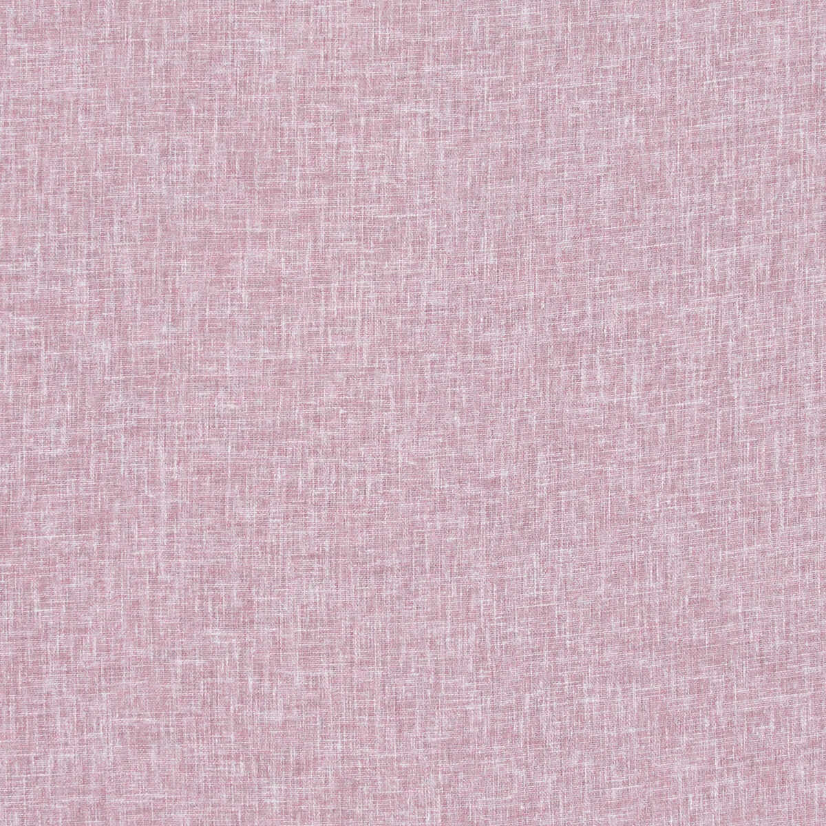 Midori - Lilac