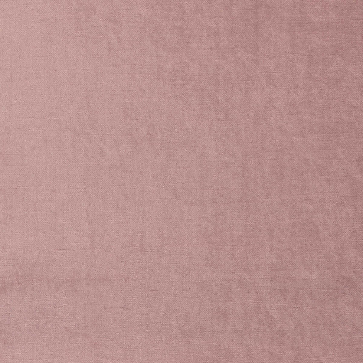 Allure - Blush
