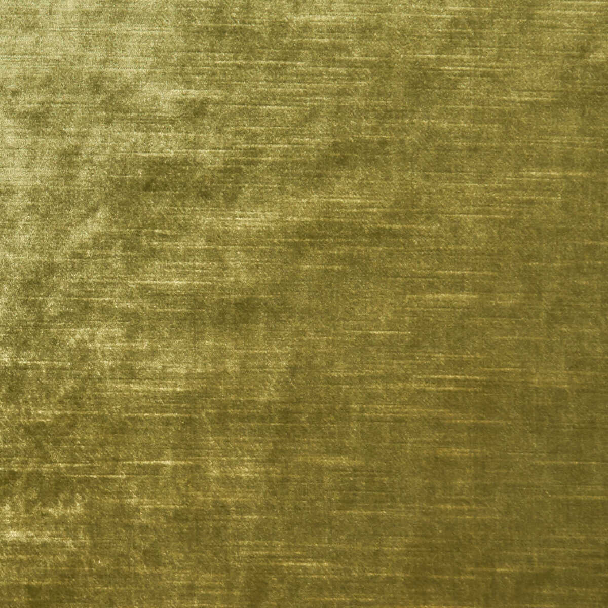 Allure - Olive
