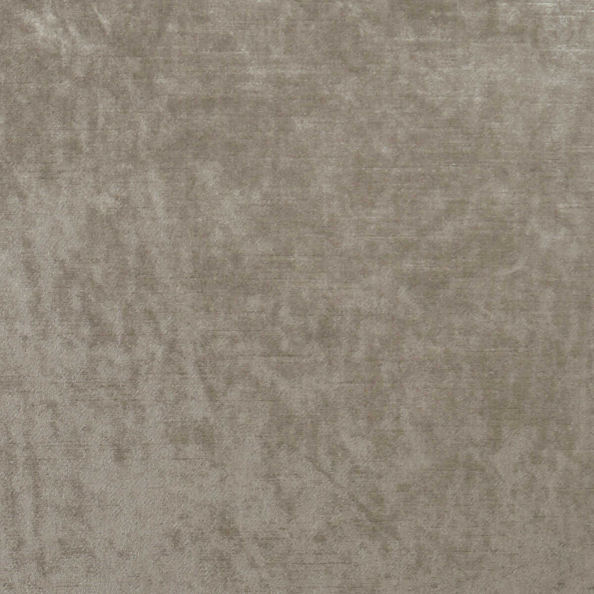 Allure - Taupe - CLARKE AND CLARKE Fabric