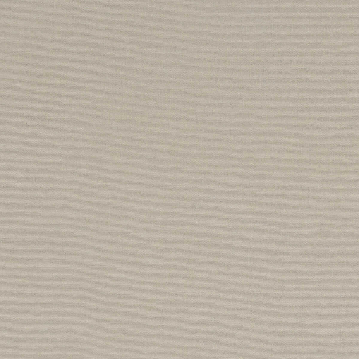 Alora - Flax