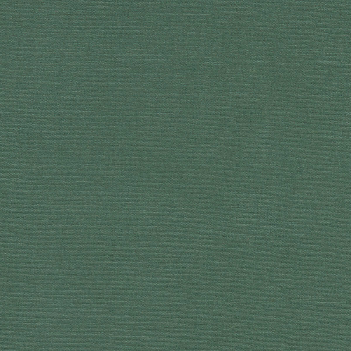 Alora - Forest