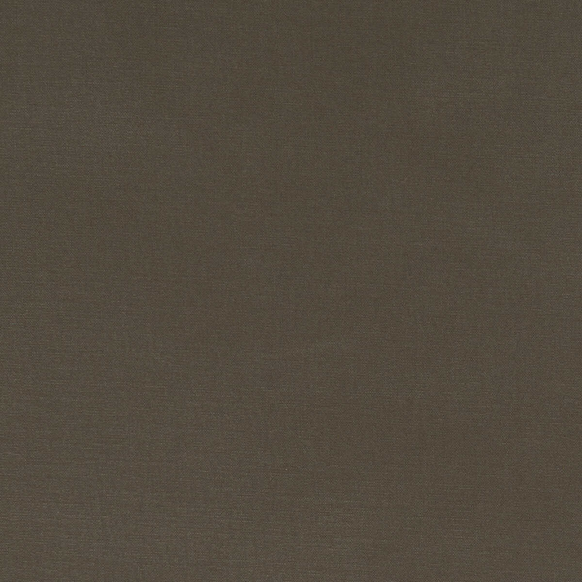 Alora - Mocha