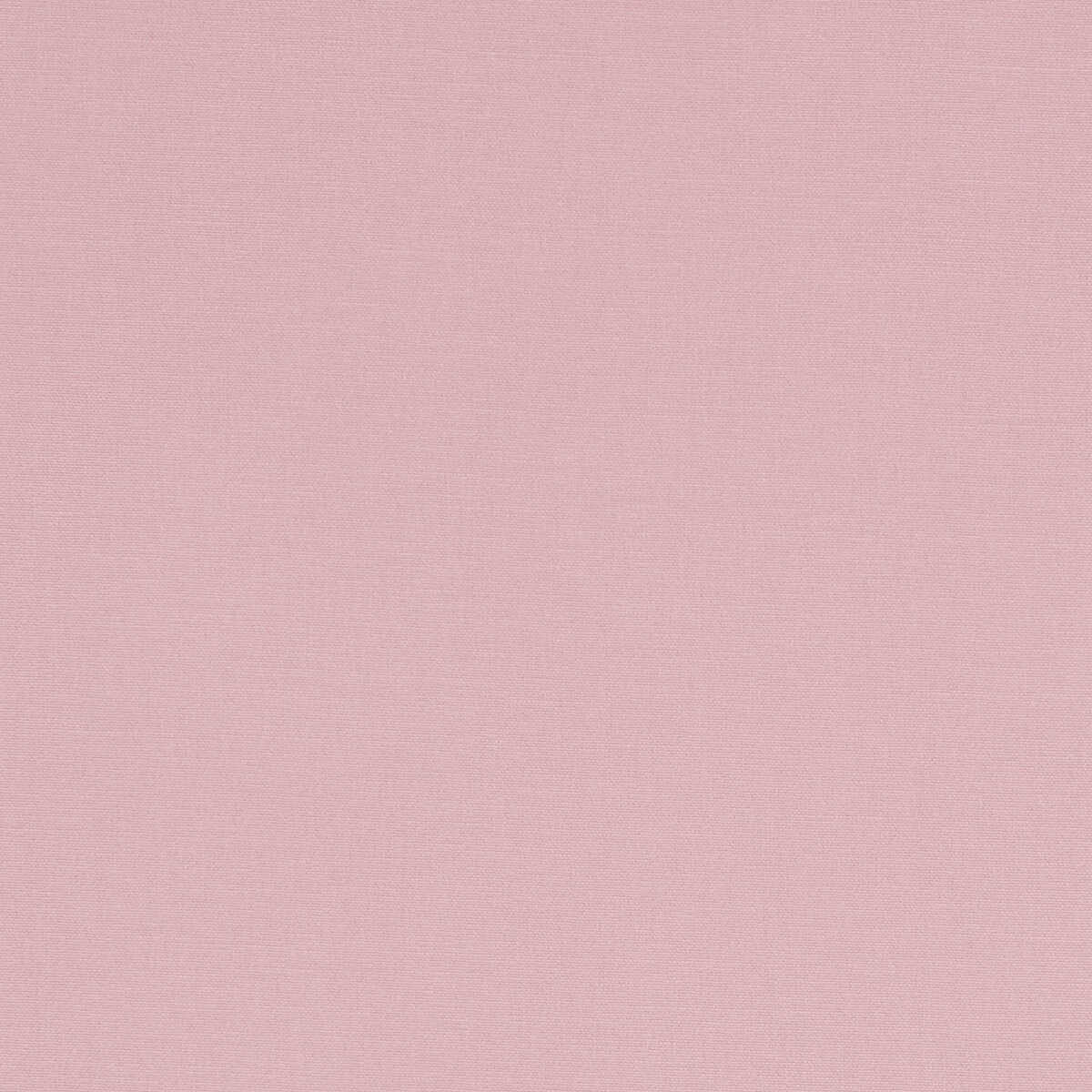 Alora - Peony