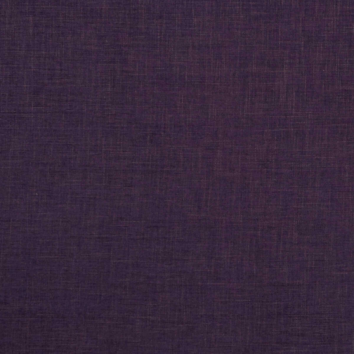 Albany - Grape