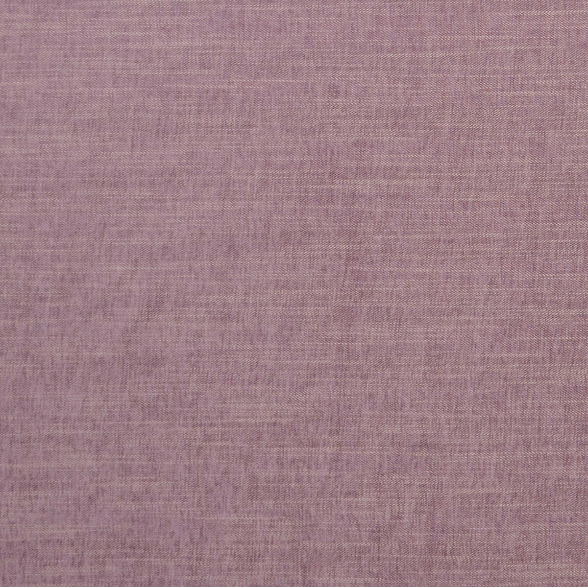 Moray - Heather