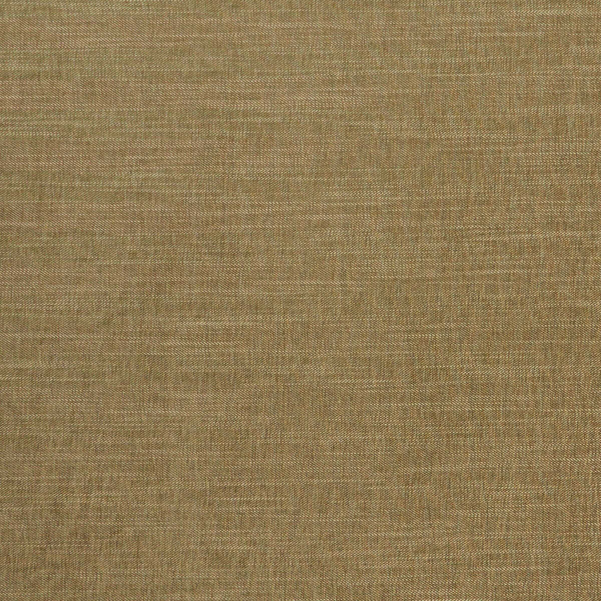 Moray - Moss