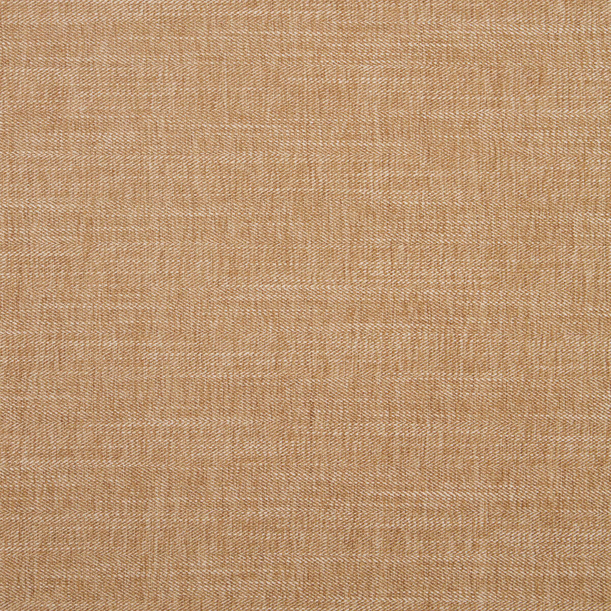 Moray - Pecan