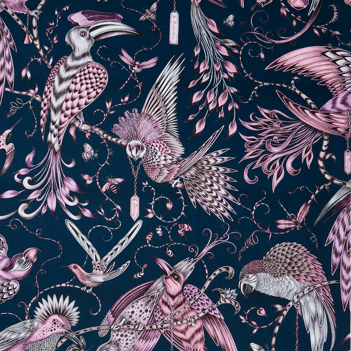 Audubon - Pink