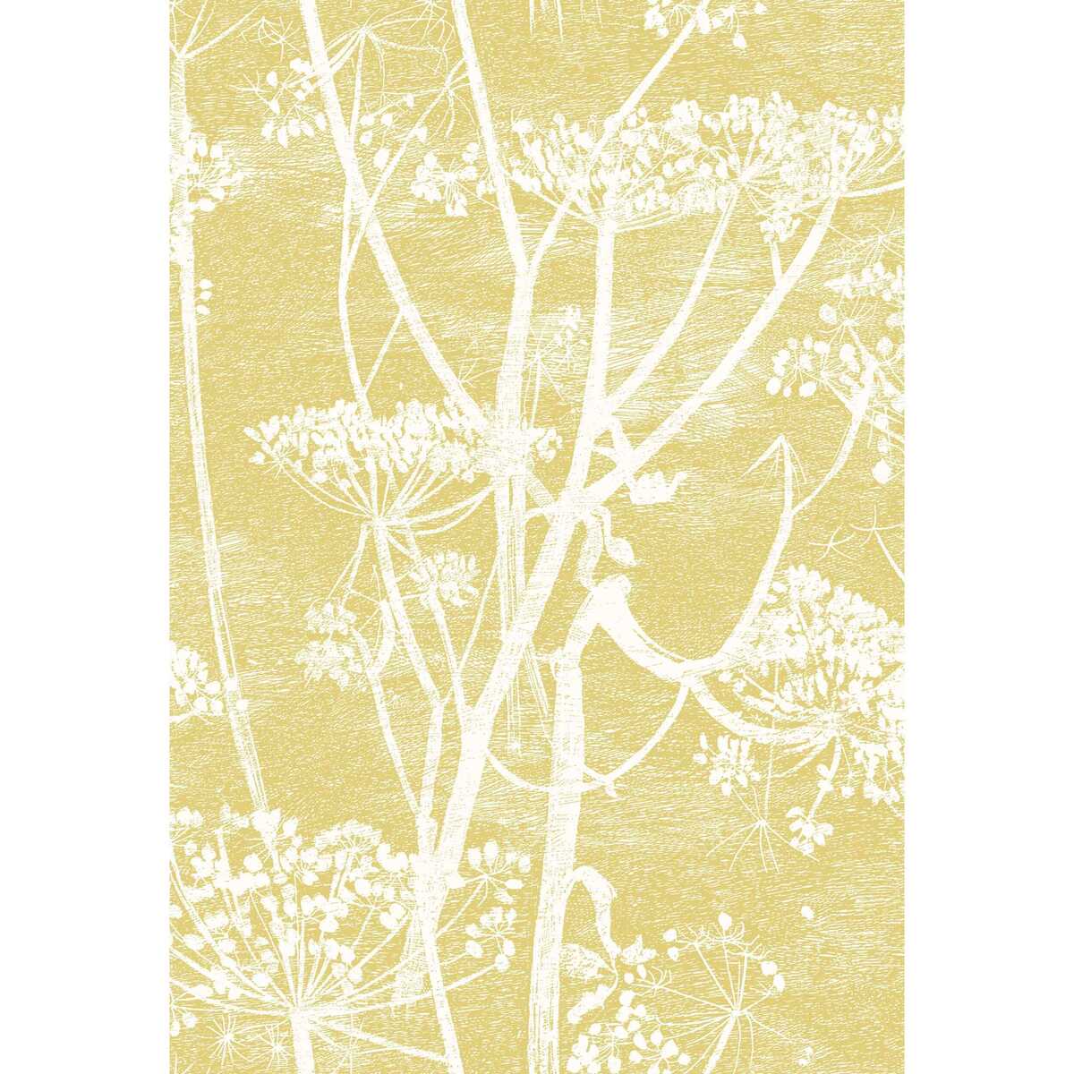 Cow Parsley Linen Print - White/Chartre - COLE & SON Fabric