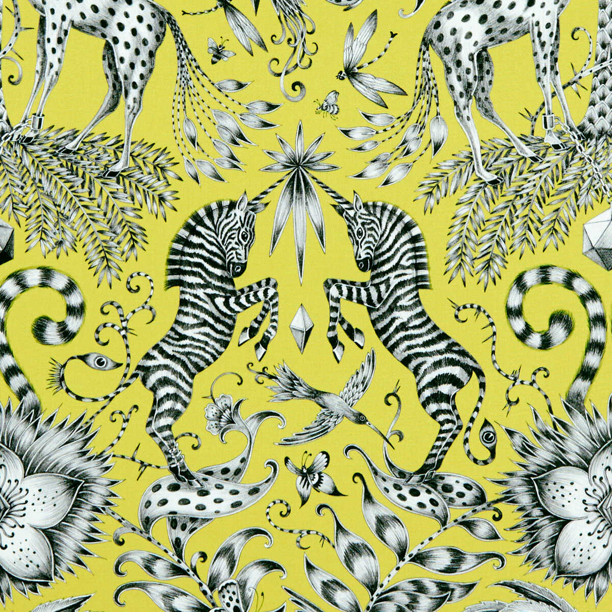 Kruger - Lime