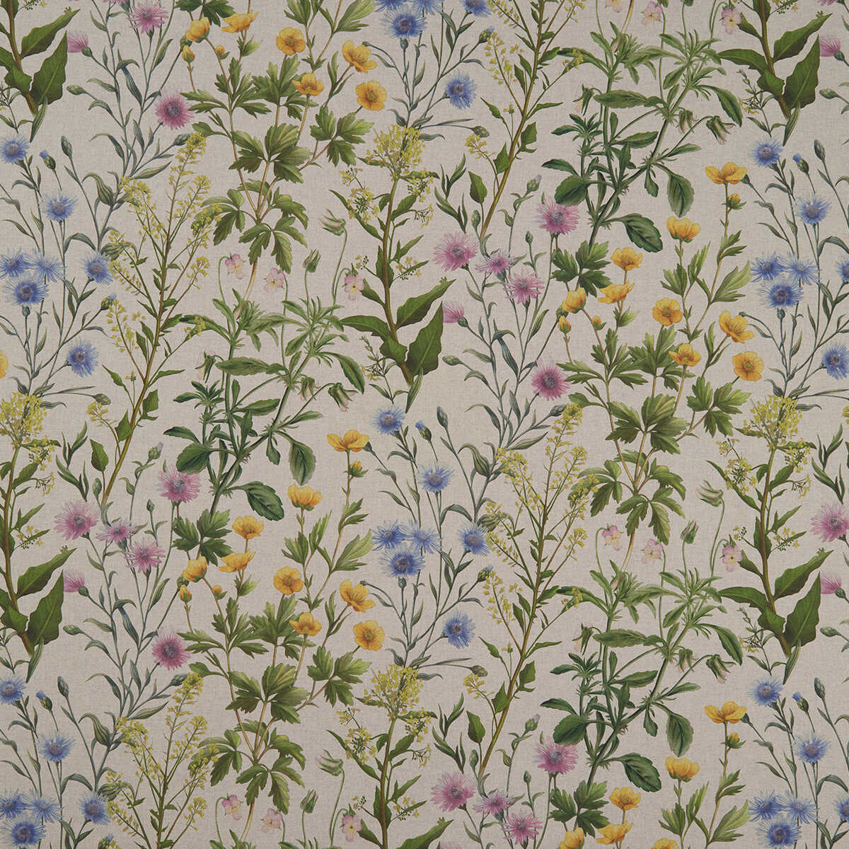 Buttercup - Linen - CLARKE AND CLARKE Fabric