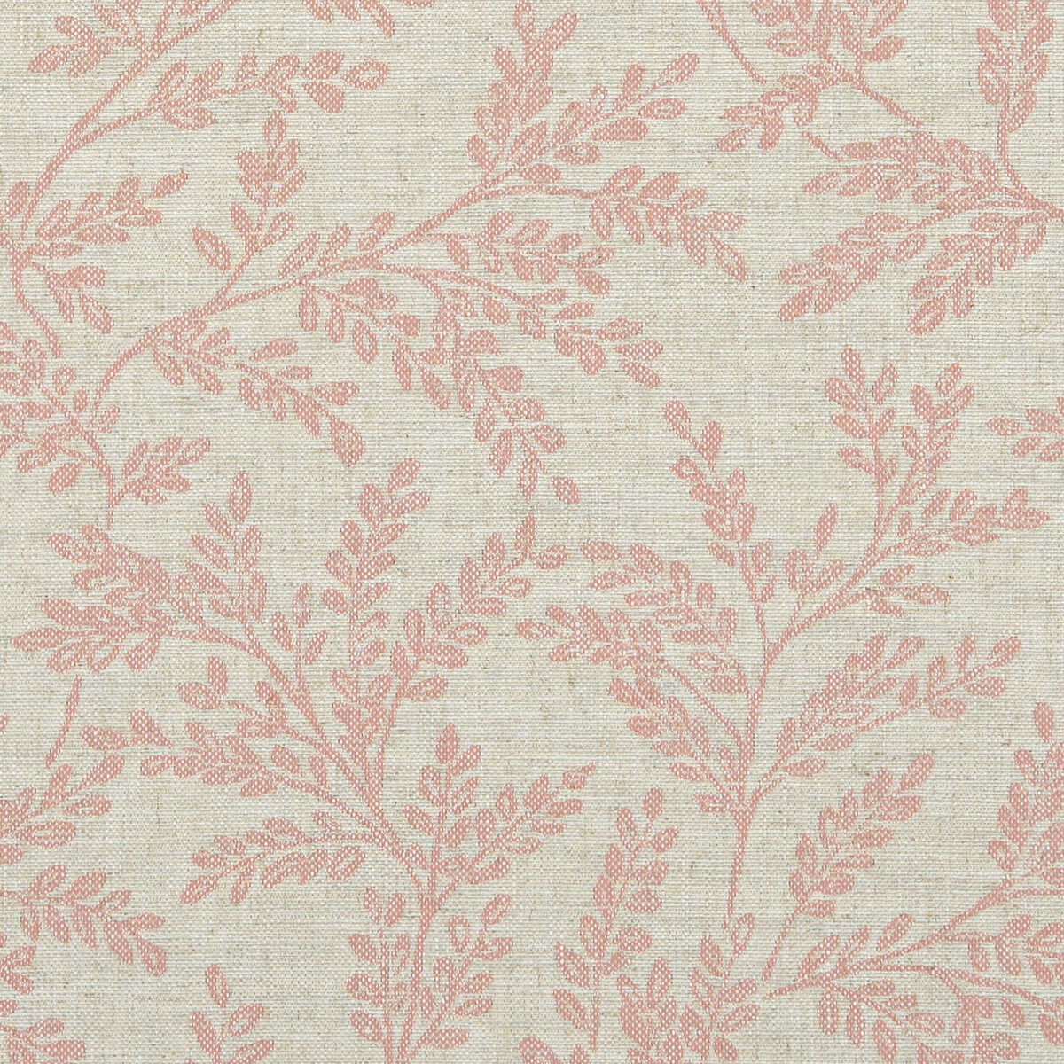 Ferndown - Blush